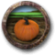 Harvest pumpkins.png