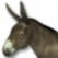Donkey.png